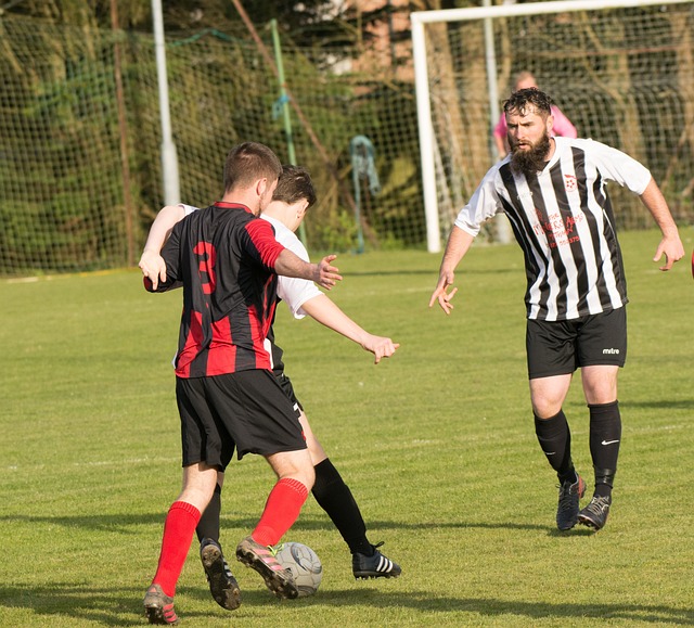 自民党的支 自民党的支