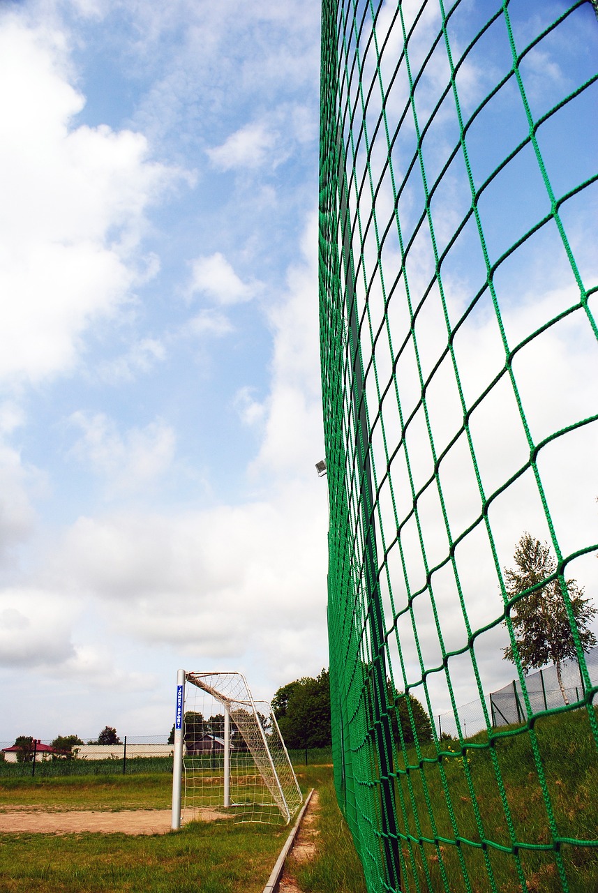 的表现可能 的表现可能