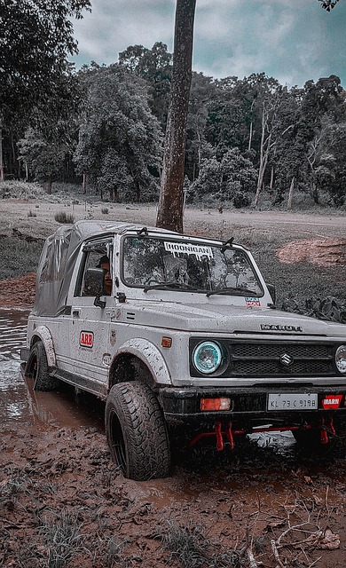 表现出未来 表现出未来