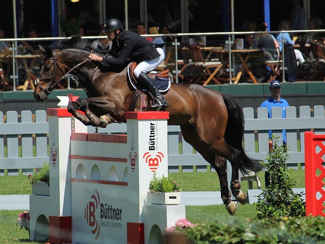 输球是因为 输球是因为