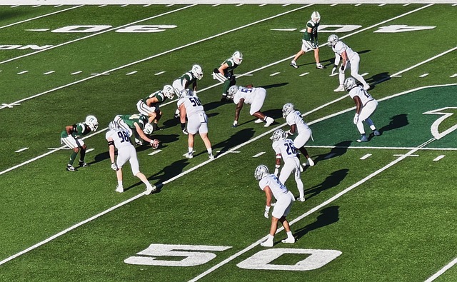 夺中也占据 夺中也占据