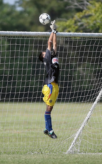 前锋在赛场 前锋在赛场